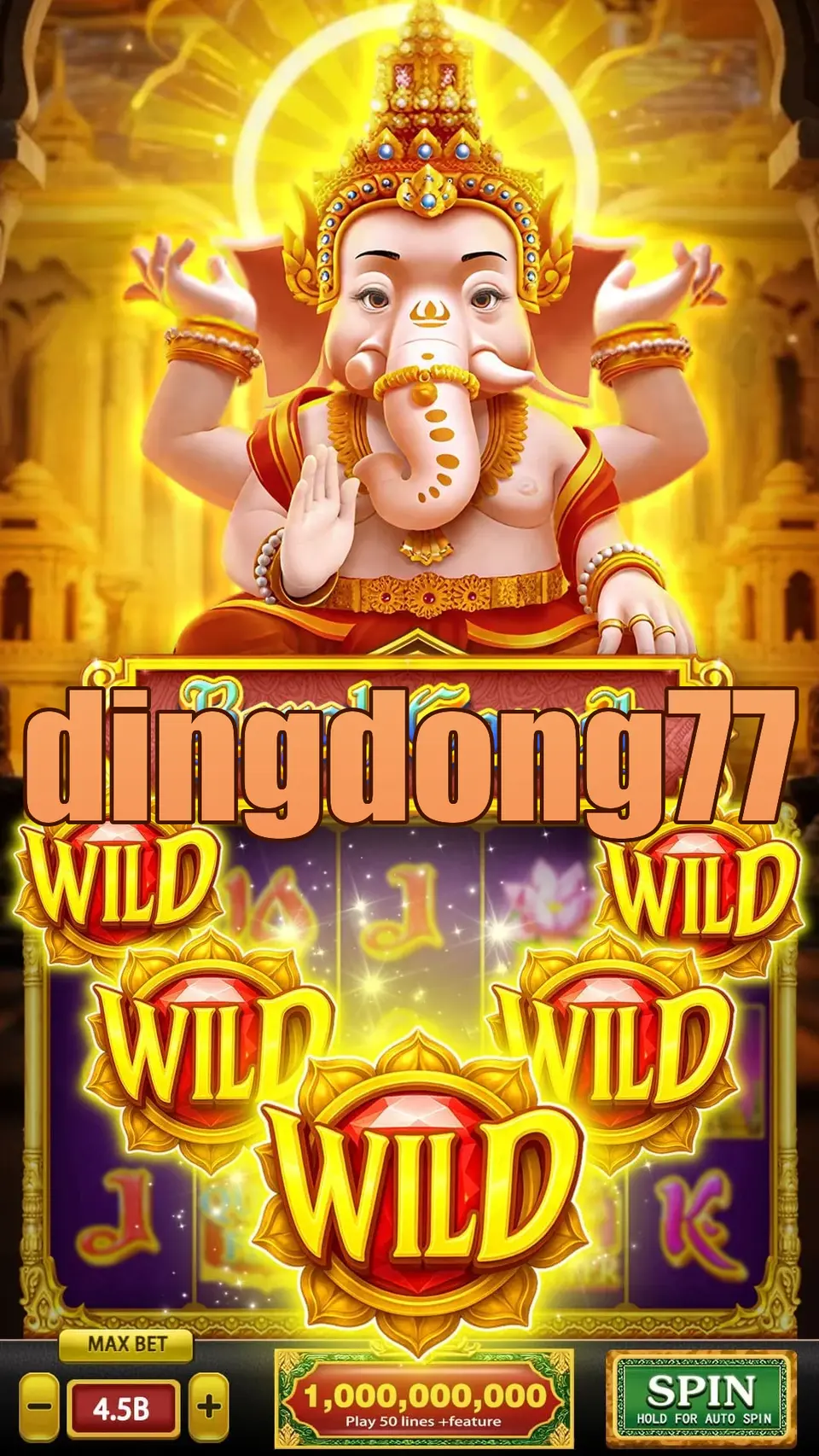 dingdong77 APK